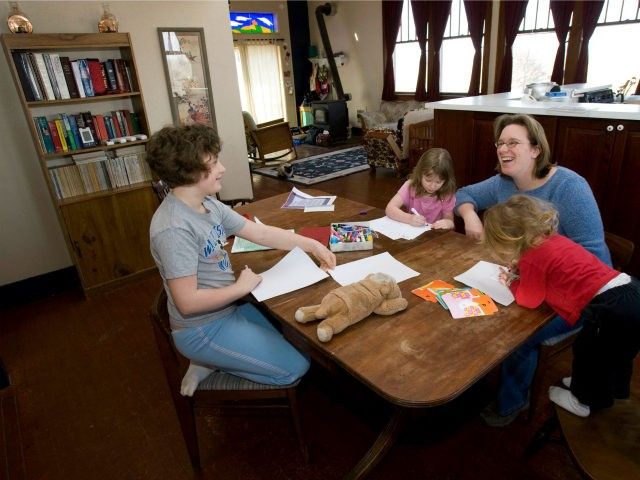 Poll: 52% of Parents View Homeschooling More Favorably Since Coronavirus School Closures